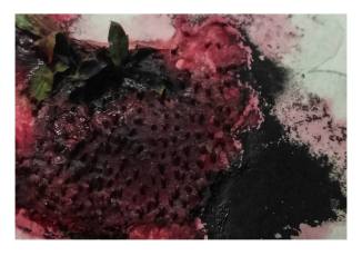 12903571_240958586255169_952811544_o